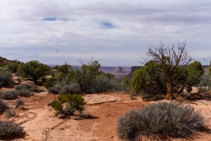 20210425CanyonlandsNP050.jpg